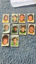 Roda jc panini vanderhout 1979-1980, Ophalen of Verzenden, Zo goed als nieuw, Roda JC, Poster, Plaatje of Sticker