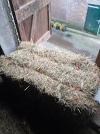 Hooibalen, Dieren en Toebehoren, Stalling en Weidegang