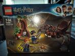 Harry Potter lego 75950 Aragog's liar, Kinderen en Baby's, Speelgoed | Duplo en Lego, Ophalen of Verzenden, Zo goed als nieuw
