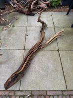 Aquariumhout, groot stuk ghostwood, Dieren en Toebehoren, Vissen | Aquaria en Toebehoren, Ophalen, Zo goed als nieuw, Plant(en), Steen of Hout