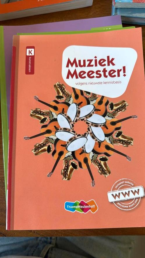 Rinze van der Lei - Muziek Meester!, Boeken, Schoolboeken, Zo goed als nieuw, Muziek, Overige niveaus, Ophalen of Verzenden