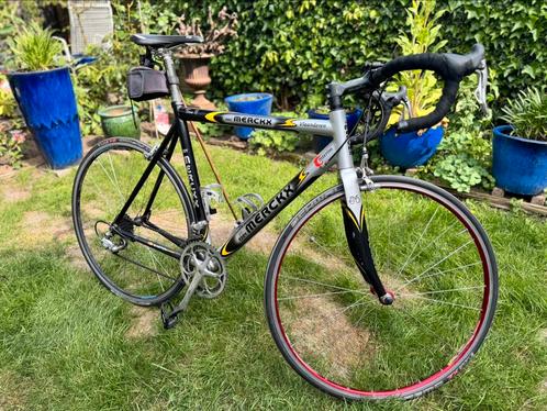Eddy Merckx Team SC – Campagnolo Chorus – racefiets, Fietsen en Brommers, Fietsen | Racefietsen, Gebruikt, Overige merken, Carbon