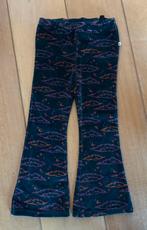 Ammehoela flared broek 5-6 jaar, Meisje, Nieuw, Ammehoela, Ophalen