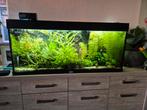 Aquarium Juwel Rio 240 LEGE BAK, Dieren en Toebehoren, Vissen | Aquaria en Toebehoren, Ophalen, Gebruikt, Leeg aquarium