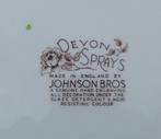Johnson Brothers Devon Sprays Multicolor Gebak Set + Bonbon, Huis en Inrichting, Keuken | Servies, Ophalen of Verzenden, Zo goed als nieuw
