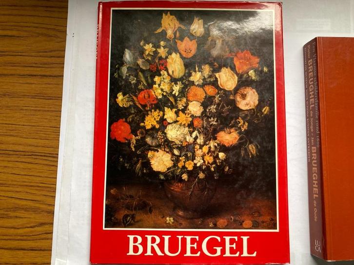 T.K. 1 boek over Pieter Brueghel en Jan Brueghel, Boeken, Kunst en Cultuur | Beeldend, Gelezen, Schilder- en Tekenkunst, Ophalen of Verzenden