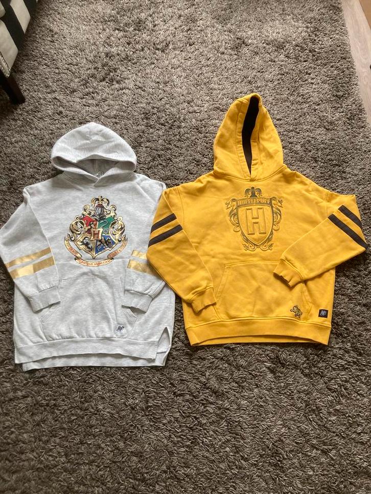 Harry Potter hoodies maat 146-152, Kinderen en Baby's, Kinderkleding | Maat 146, Zo goed als nieuw, Meisje, Trui of Vest, Ophalen of Verzenden