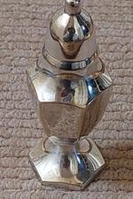 Verzilverde strooier, Ophalen of Verzenden, Zilver