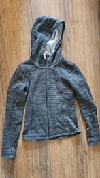 Warm Bench vest - maat XS, Kleding | Dames, Truien en Vesten, Bench, Ophalen of Verzenden, Maat 34 (XS) of kleiner, Grijs