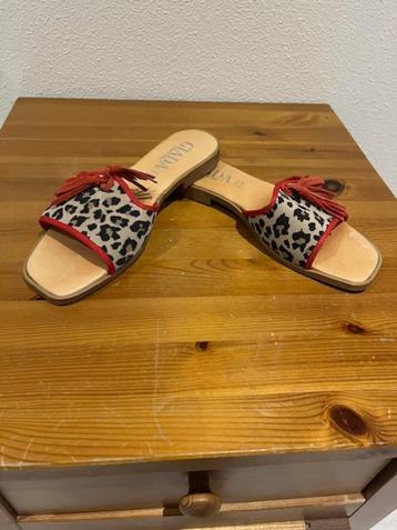 tijgerprint slipper beschikbaar voor biedingen