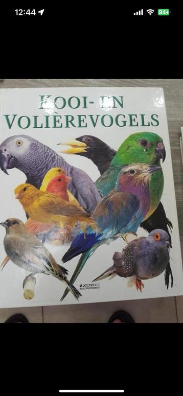 Boeen voor alle vogls en papagaaien beschikbaar voor biedingen