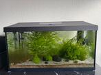 Aquarium Aquael 54 liter met accesoires, Ophalen, Zo goed als nieuw, Leeg aquarium