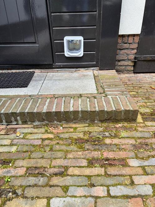Sureflap Microchip Kattenluik, Dieren en Toebehoren, Katten-accessoires, Nieuw, Ophalen of Verzenden
