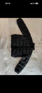 Levi's Jas - Zo goed als nieuw!, Ophalen of Verzenden, Zo goed als nieuw, Zwart