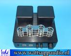 Dayton Audio HTA100 Stereo Tube / buizen versterker, DAYTON AUDIO, Versterker, ., Ophalen of Verzenden