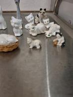 letterbakbeelden poezen verschillende, Ophalen of Verzenden