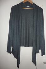 2 dames vesten, Maat 42/44 (L), Ophalen of Verzenden, Grijs, Gedragen