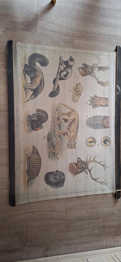 Wanddoek, Ophalen of Verzenden