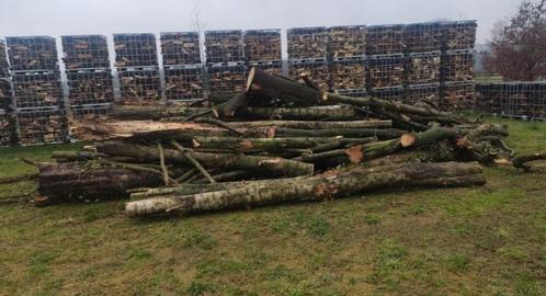 brandhout, Tuin en Terras, Haardhout, Blokken, Overige houtsoorten, Minder dan 3 m³, Ophalen