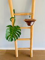 Zwembroek/ zwembroekje/ babykleding van Hema, maat 62/68, Broekje, Meisje, Nieuw, Ophalen of Verzenden