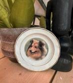 Schoteltje van het merk faithful friends met een collie, Ophalen of Verzenden, Nieuw