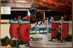 15 jarige allround dubbel M merrie, Dieren en Toebehoren, Paarden, Merrie, Springpaard, Gechipt, M