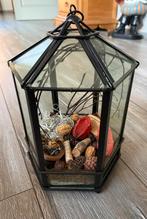 Planten terrarium glas in frame, Ophalen of Verzenden, Zo goed als nieuw