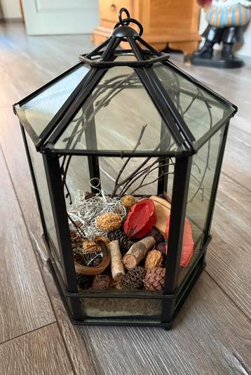 Planten terrarium glas in frame beschikbaar voor biedingen