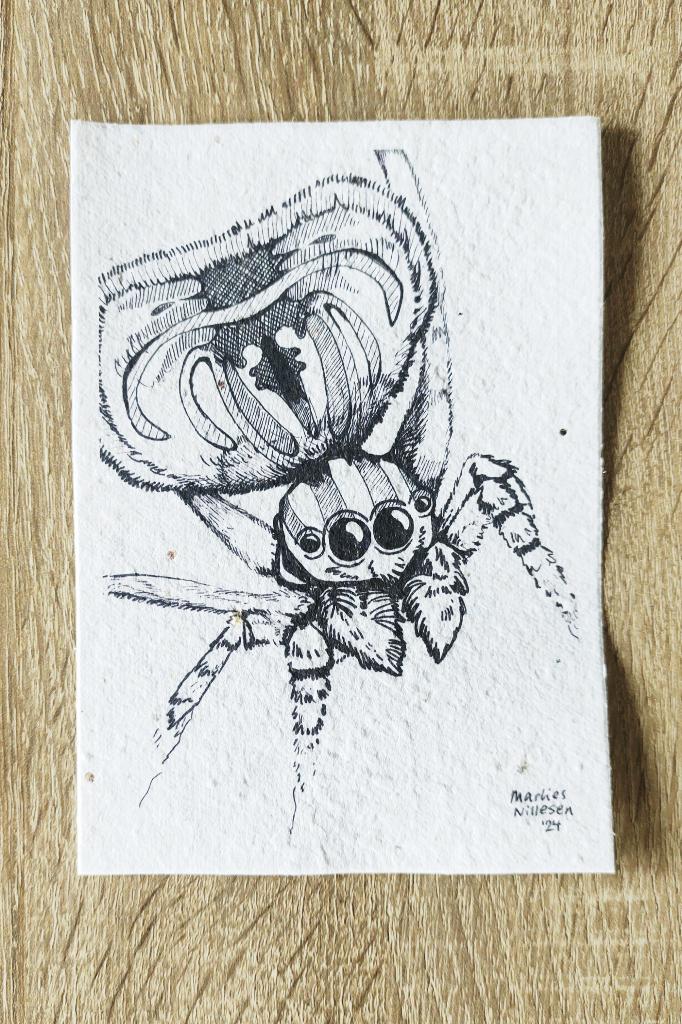 Kunstprent / ansichtkaart tekening spin op zaadjespapier, Antiek en Kunst, Ophalen of Verzenden