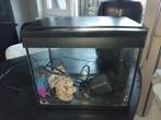 Gratis aquarium met pomp, Ophalen, Gebruikt, Leeg aquarium