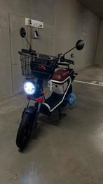 AGM Goccia DEV 1000 zwart,wit en bordo rode snorfiets, Fietsen en Brommers, Scooters | Overige merken, Ophalen, Gebruikt, Elektrisch