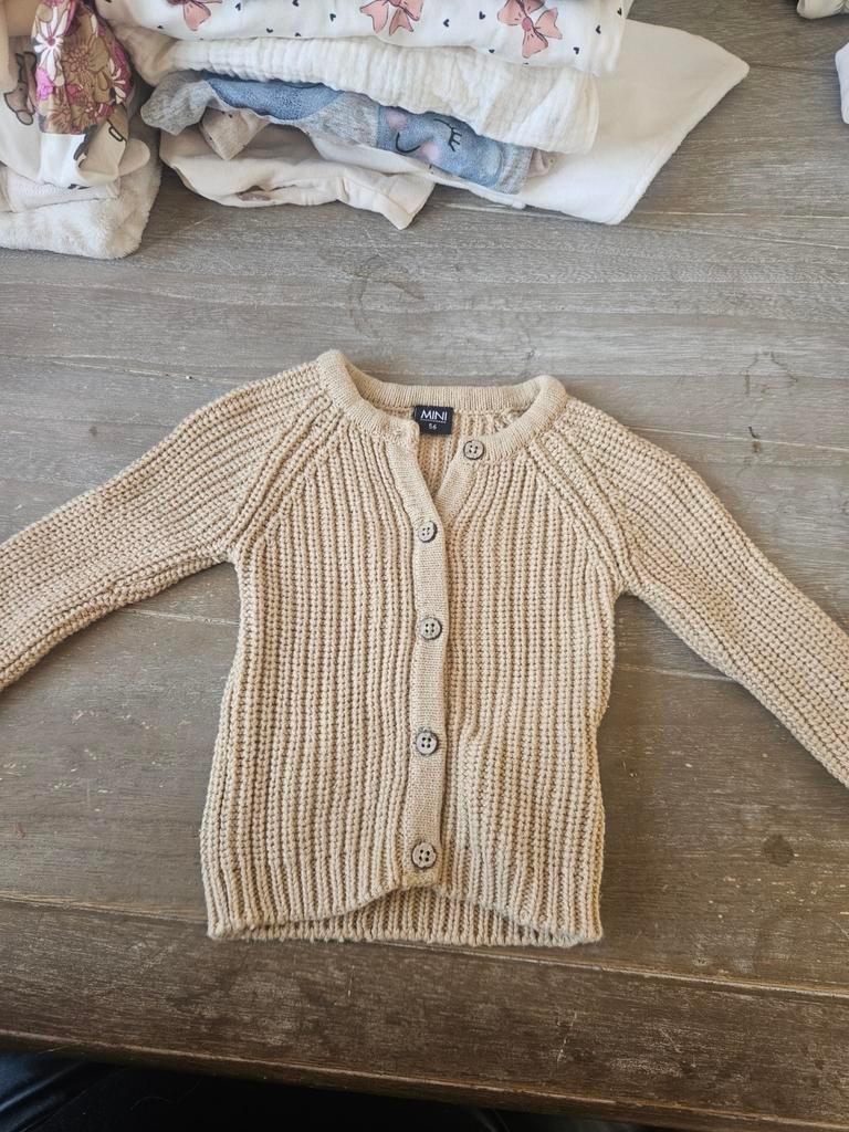 Vestje, Kinderen en Baby's, Ophalen of Verzenden, Nieuw, Jongetje of Meisje, Truitje of Vestje