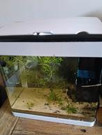 Superfish aquarium, Ophalen of Verzenden, Zo goed als nieuw, Leeg aquarium