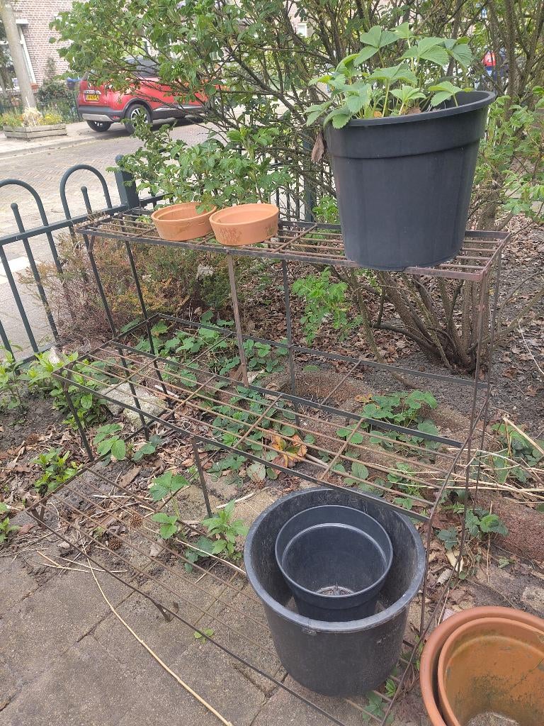 Plantenrek, ijzer, Ophalen, Gebruikt, 100 cm of meer, Balkon