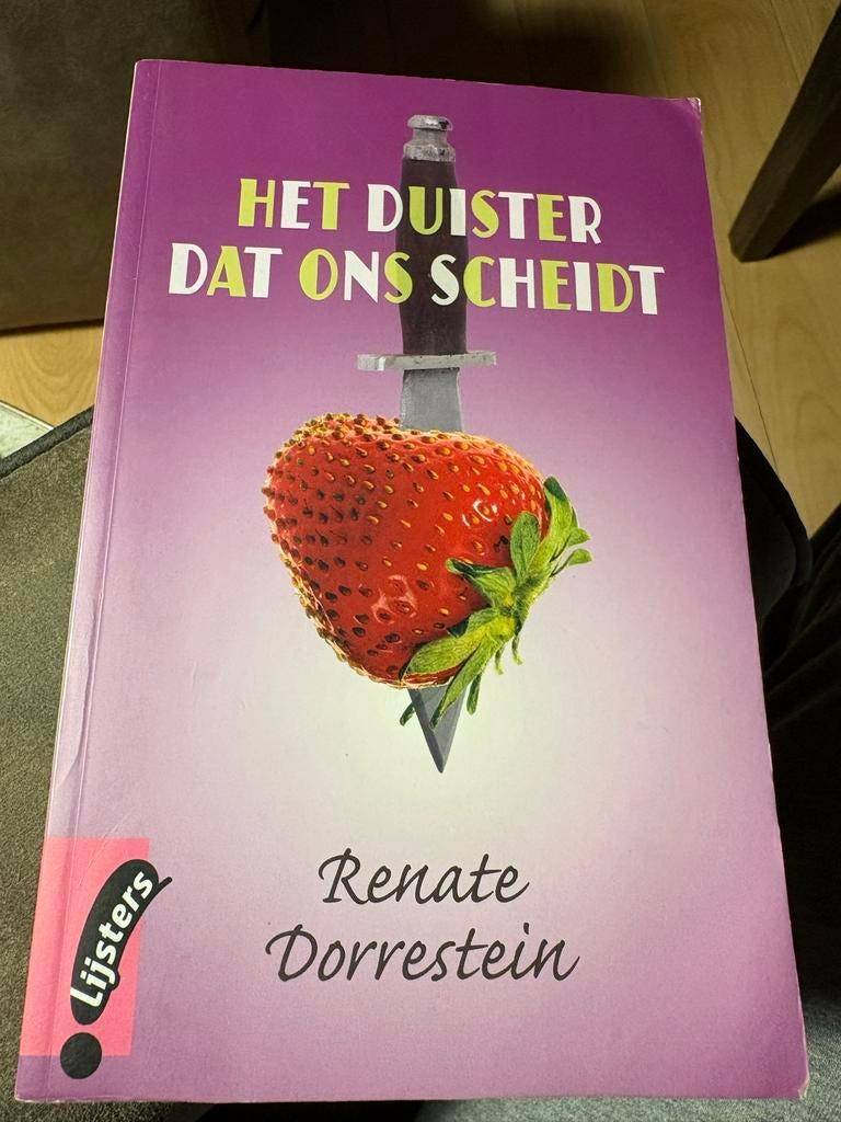Het Duister Dat Ons Scheidt - Renate Dorrestein, Ophalen of Verzenden, Gebruikt