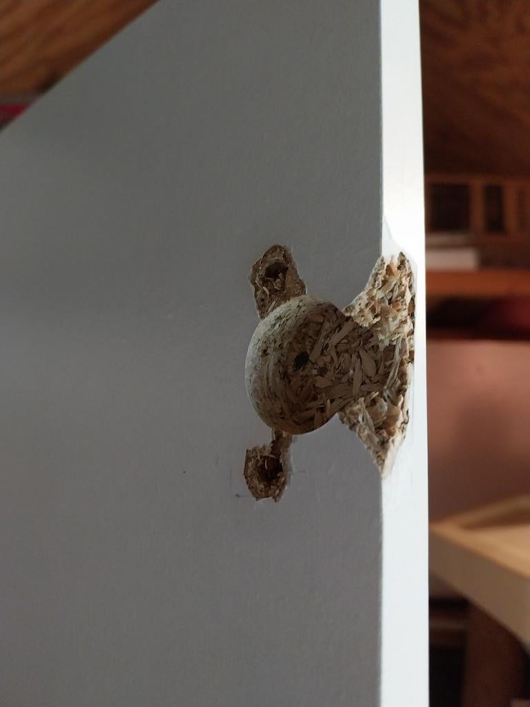 GRatis. Gebruikte kastdeuren met spiegel en handgrepen, Ophalen, Gebruikt, 50 tot 100 cm, Minder dan 100 cm