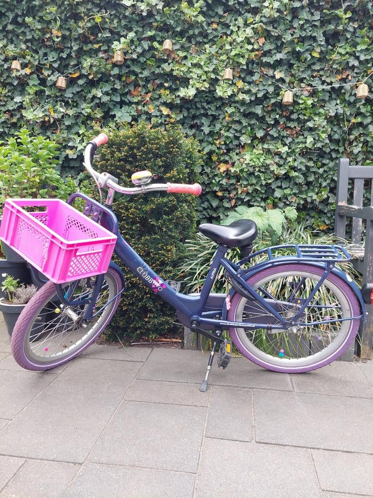 Alpina Club meisjes fiets 20 inch met kratje, Fietsen en Brommers, Fietsen | Meisjes, Ophalen, Gebruikt, 20 inch