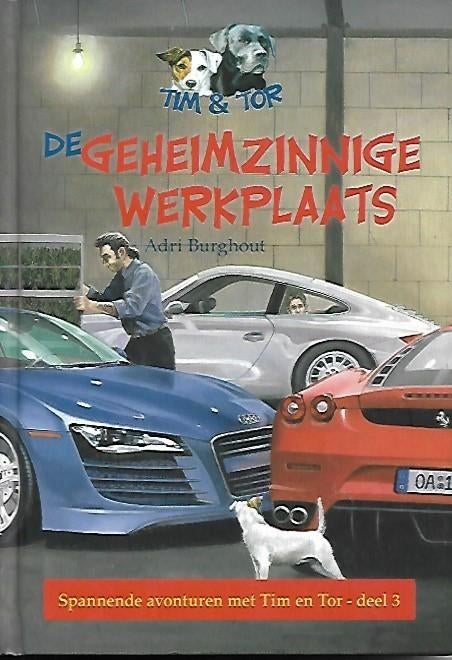 De geheimzinnige werkplaats - Adri Burghout, Boeken, Ophalen of Verzenden, Gelezen