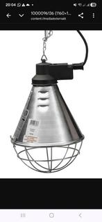 Te koop gevraagd warmte lamp voor kuikens, Geslacht onbekend, Kip