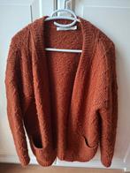 SUMMUM vest  maat S vaste prijs 10 euro, Kleding | Dames, Truien en Vesten, Ophalen of Verzenden