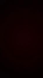 Gezocht: Wheeliebike tussen €100-€200, Kleding | Dames, Mutsen, Sjaals en Handschoenen, Ophalen of Verzenden, Gedragen