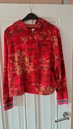 Pip Studio trui, Maat 38/40 (M), Nieuw, Ophalen of Verzenden, Pip Studio