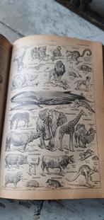 Oude sleetse encyclopedie Larousse Classique Illustréé, Ophalen of Verzenden, Gelezen, Los deel