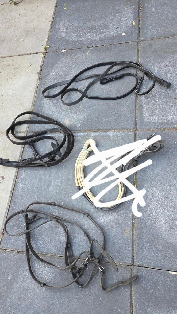 Diverse teugels, Dieren en Toebehoren, Ophalen of Verzenden, Overige soorten