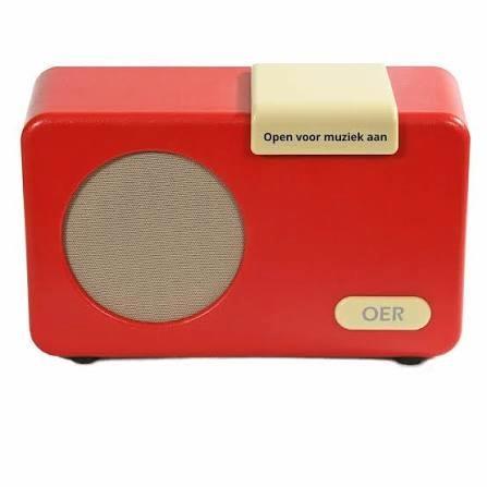 OERRADIO - Eenvoudige radio voor senioren/dementie, Audio, Tv en Foto, Radio's, Zo goed als nieuw, Radio, Ophalen of Verzenden