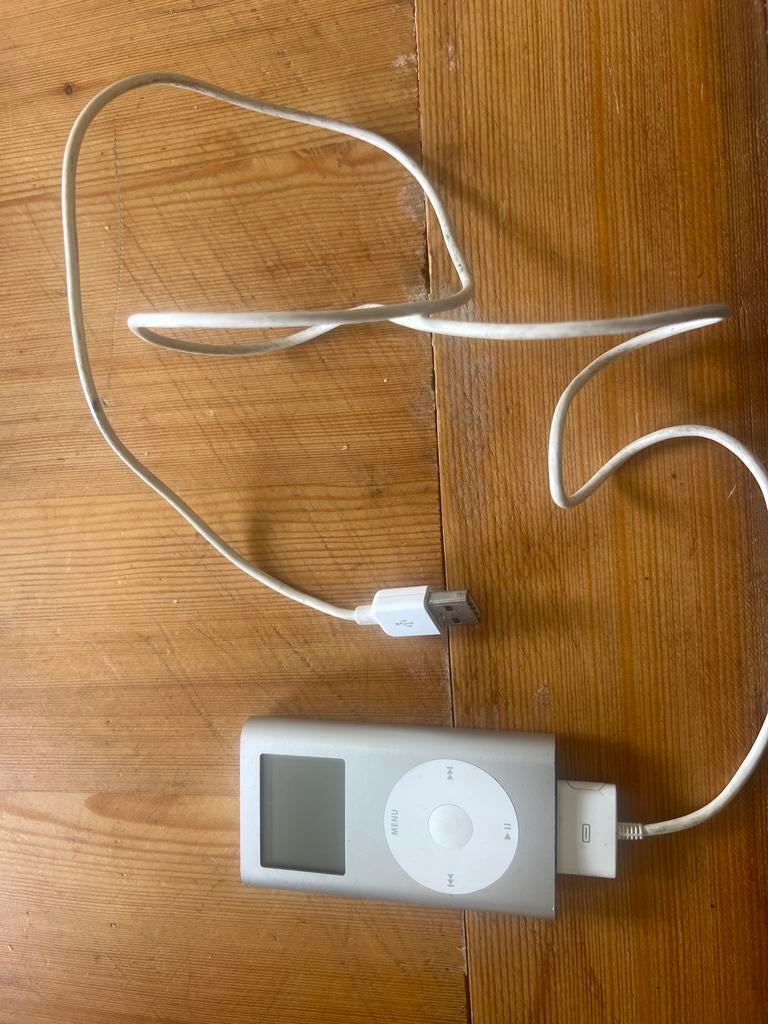 Apple iPod met kabel, Audio, Tv en Foto, Mp3-spelers | Apple iPod, Gebruikt, Classic, Ophalen of Verzenden, 20 tot 40 GB