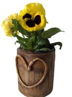 BLOEM/ BAMBOE BAKJES MET HART 900 stuks TIP Moederdag stukje, Valentijn of Romantisch, -, -, Nieuw