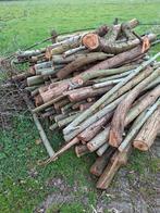 Haardhout, Minder dan 3 m³, Ophalen of Verzenden