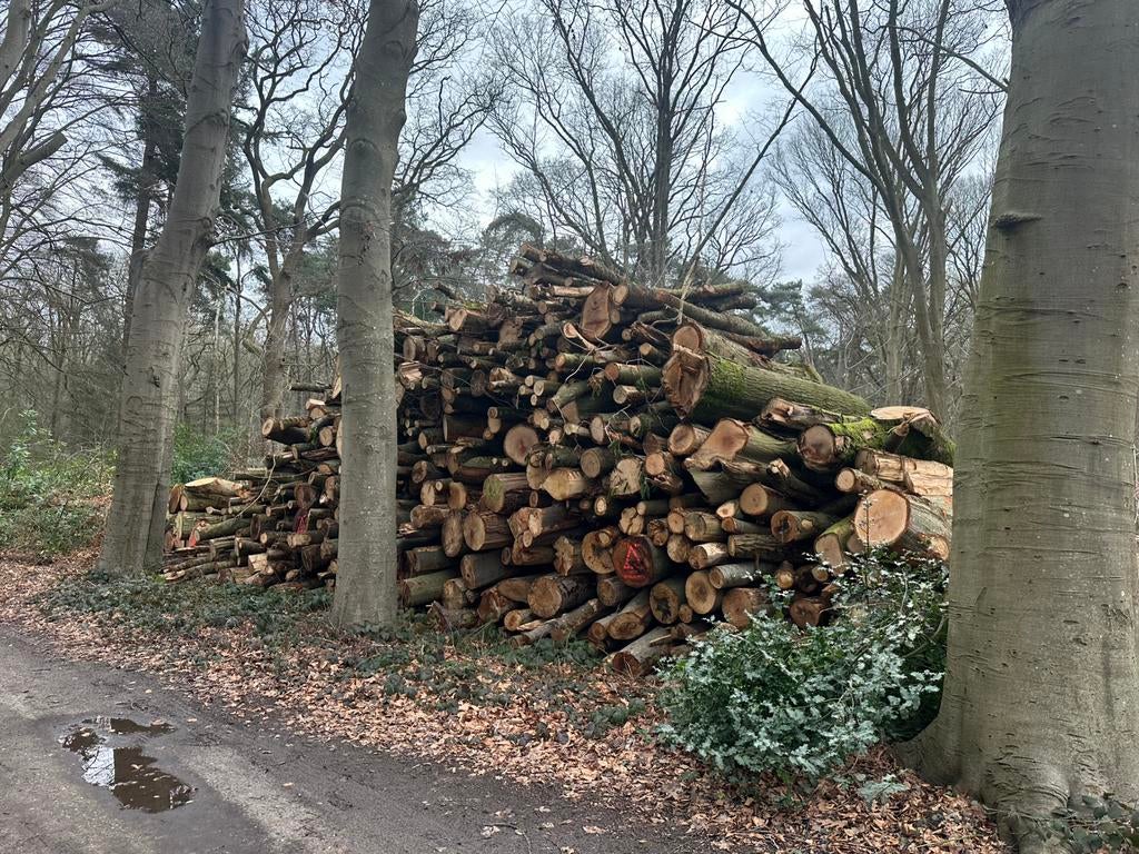 Brandhout stsmmen Eik en beuk, Tuin en Terras, Haardhout, 6 m³ of meer, Ophalen of Verzenden