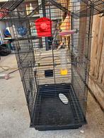 Nette vogel kooi, Ophalen of Verzenden, Zo goed als nieuw, Metaal, Vogelkooi